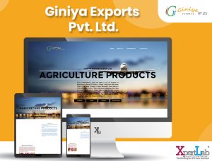 Giniya Exports