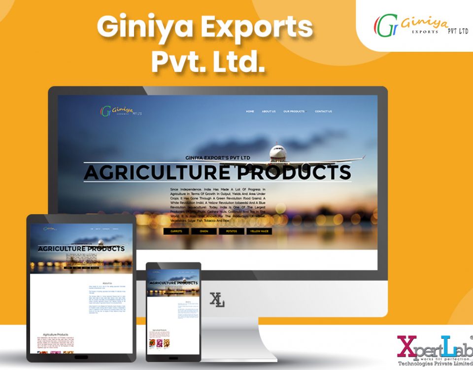 Giniya-Exports - XpertLab Technologies Private Limited