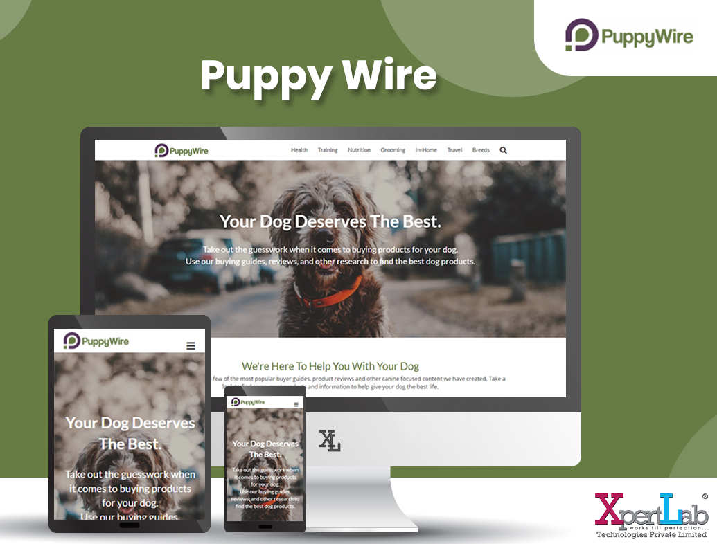 Puppy-Wire - website development in junagadh