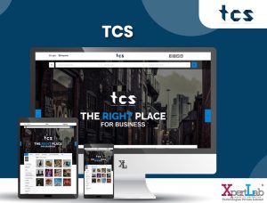 Total City Services