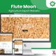 flute-moon - XpertLab Technologies Private Limited