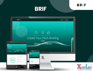 Brief