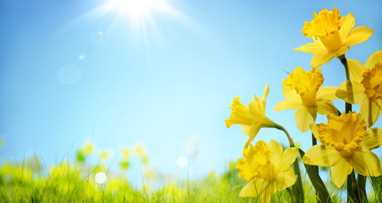 Today : 21 march 2019