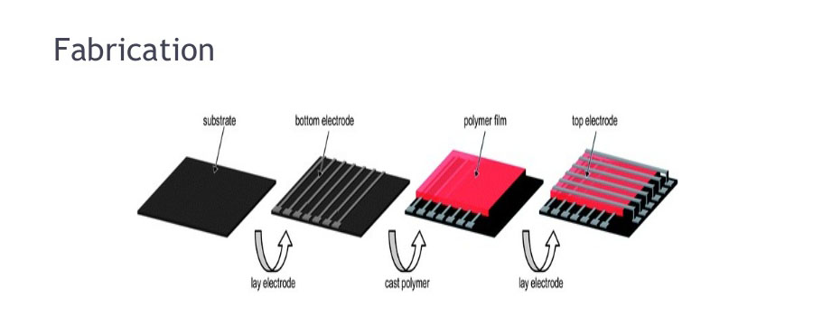 Polymer Memory