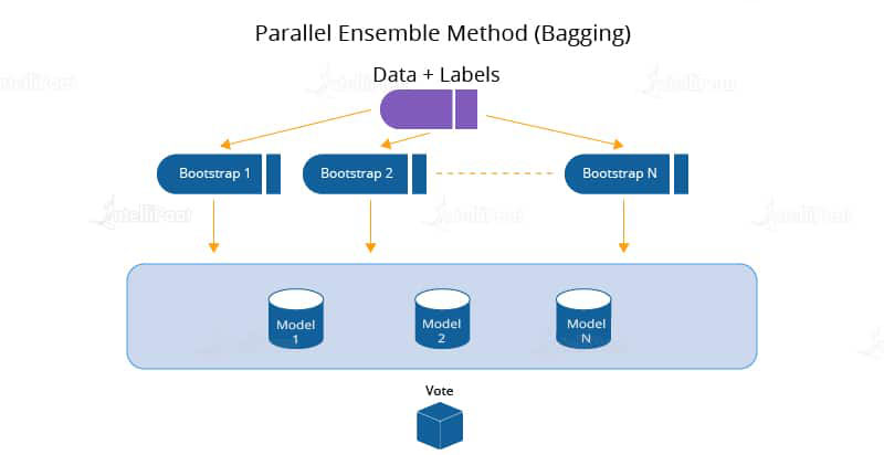 Parallel Ensemble Method