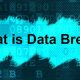 Website Designing Company Junagadh- What is Data Breach?