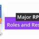 Major RPA Developer Roles and Responsibilities