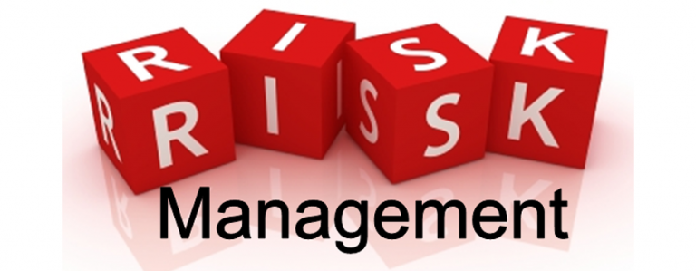 Risk Management in Testing