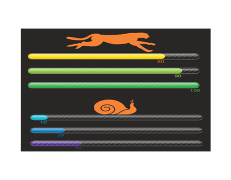 Reason for Slow Website Loading