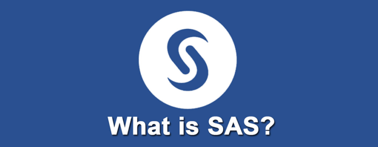 What is SAS?
