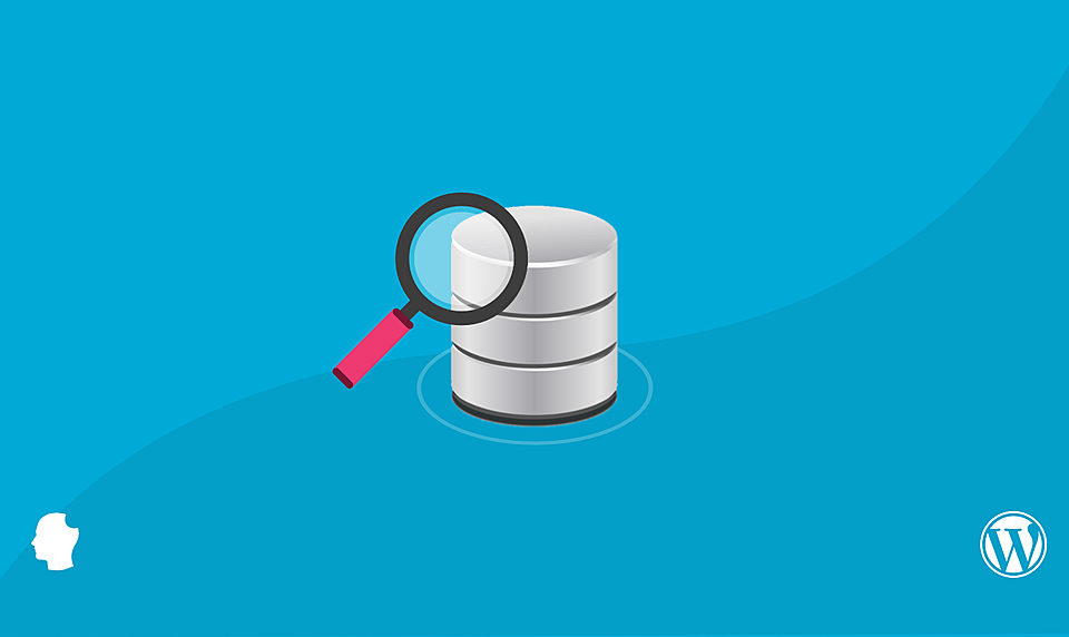 XpertLab Technologies Private Limited tour of wordpress database featured img