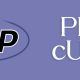 php cURL