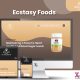 ecstasy - xpertlab technologies private limited