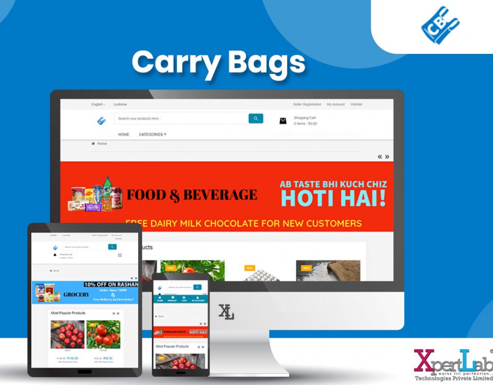 Carry Bags - XpertLab Technologies Private Limited