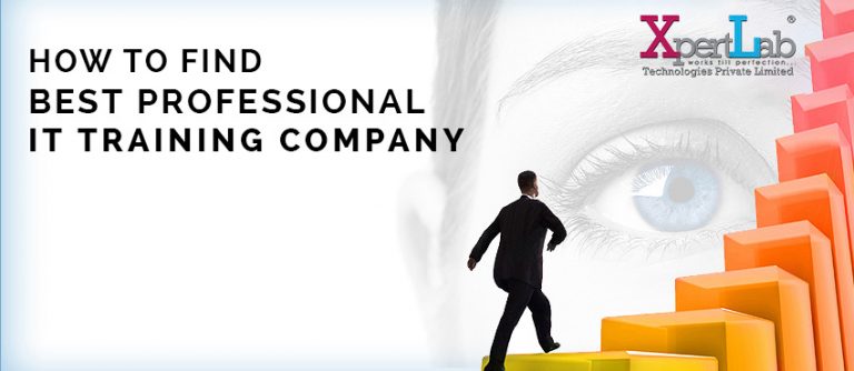 How To Find Best Professional IT Training Company
