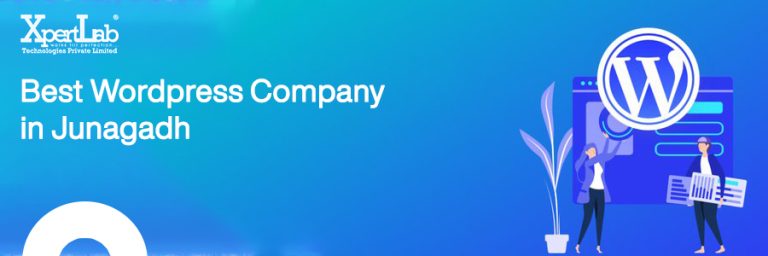 Best WordPress Company in Junagadh