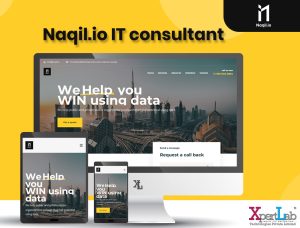 Naqil.io IT consultant