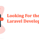 laravel best development company in junagadh