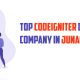 top codeigniter development company in junagadh