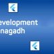 flutter development company in junagadh