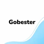 XpertLab Technologies Private Limited Social Media Branding Gobester