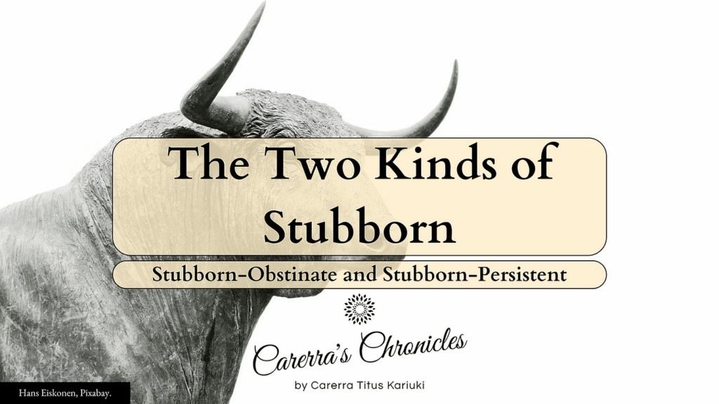 Stubborn In The Right Direction