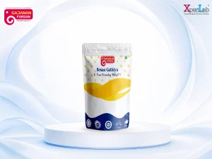 XpertLab Technologies Private Limited Packaging Design Gajanan Farshan Besan gathiya