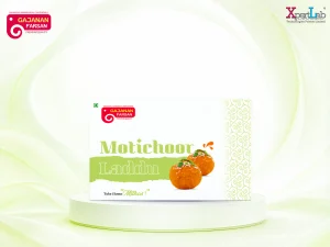 XpertLab Technologies Private Limited Packaging Design Gajanan Farshan Motichur Laddu