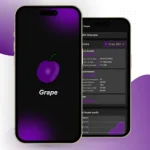 XpertLab Technologies Private Limited UI-UX Design Grape