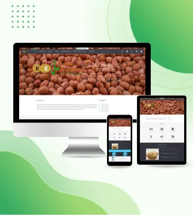 XpertLab Technologies Private Limited Website Development Kiran Agri Export