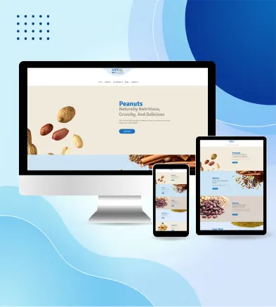 XpertLab Technologies Private Limited Website Development MPG Exim